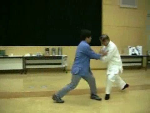 Wahnam Taijiquan