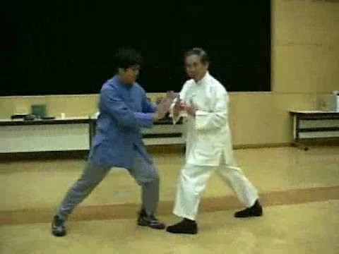 Wahnam Taijiquan