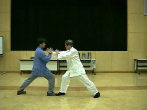 Wahnam Taijiquan