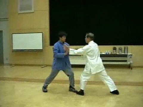 Wahnam Taijiquan