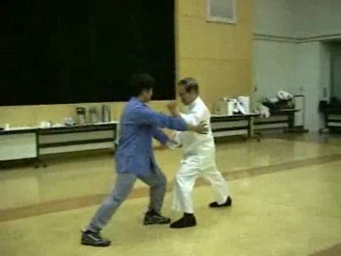 Wahnam Taijiquan