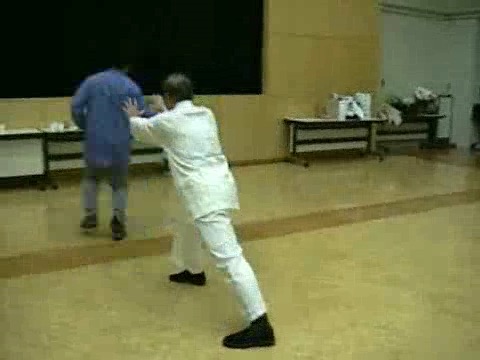 Wahnam Taijiquan