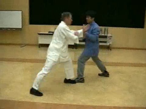 Wahnam Taijiquan