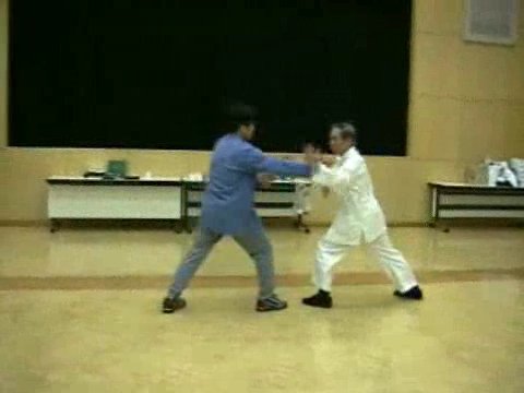 Wahnam Taijiquan