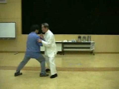 Wahnam Taijiquan