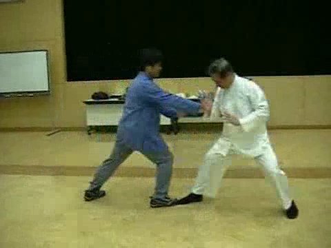 Wahnam Taijiquan