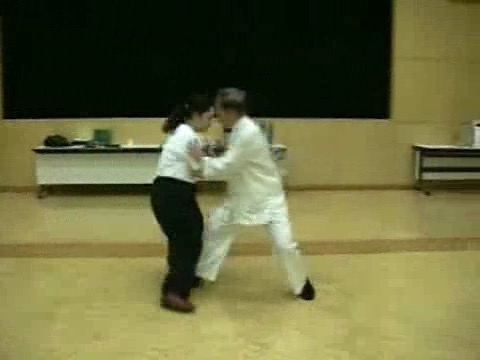 Wahnam Taijiquan