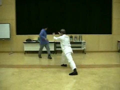 Wahnam Taijiquan