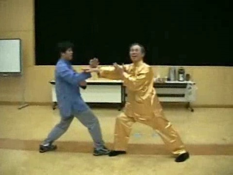 Wahnam Taijiquan