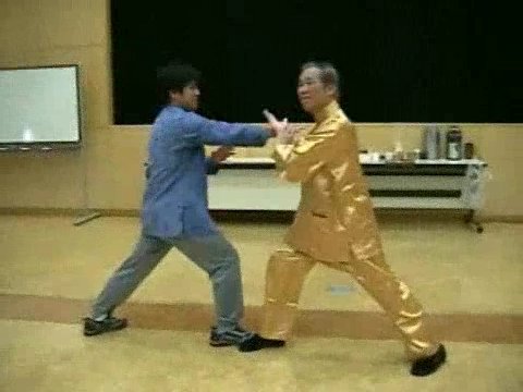 Wahnam Taijiquan