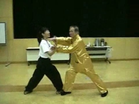 Wahnam Taijiquan