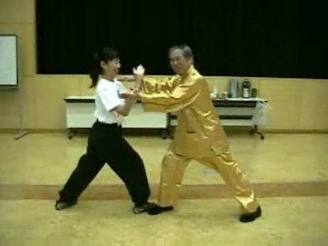 Wahnam Taijiquan