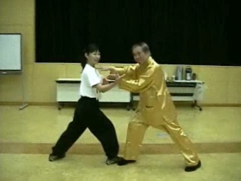 Wahnam Taijiquan