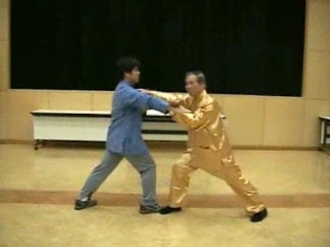 Wahnam Taijiquan