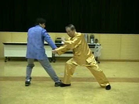 Wahnam Taijiquan