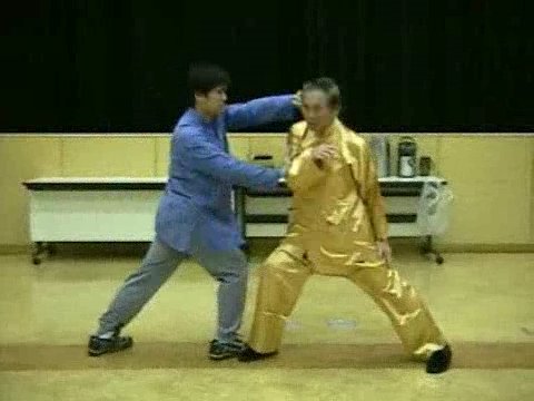 Wahnam Taijiquan