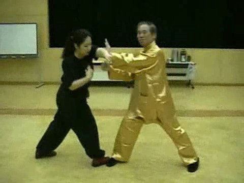 Wahnam Taijiquan