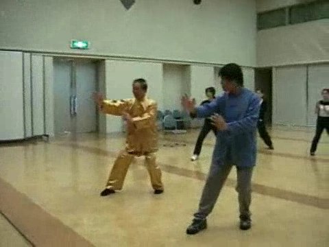 Wahnam Taijiquan