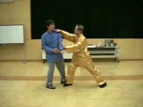 Wahnam Taijiquan