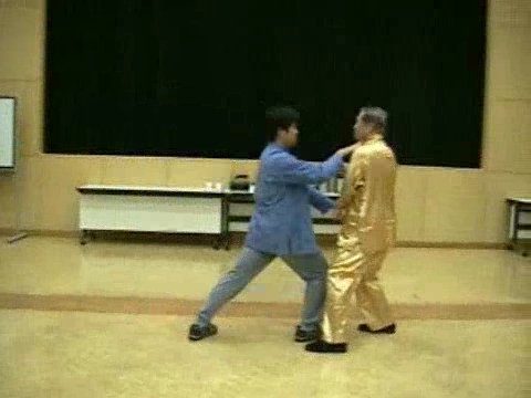 Wahnam Taijiquan