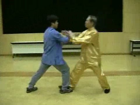 Wahnam Taijiquan