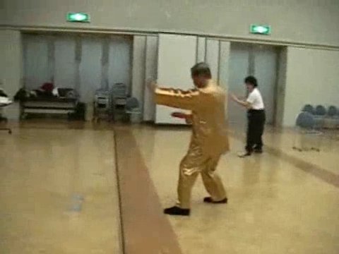 Wahnam Taijiquan