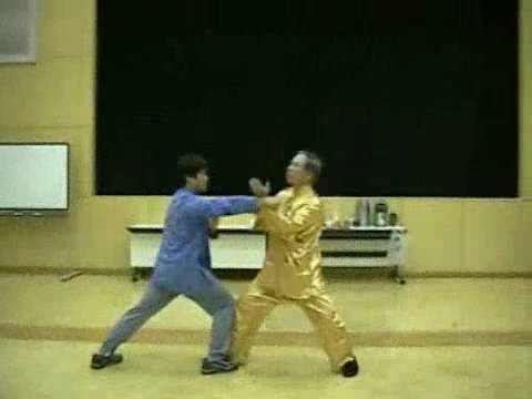 Wahnam Taijiquan