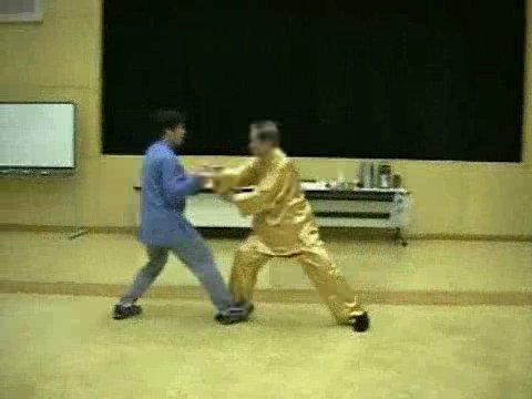 Wahnam Taijiquan