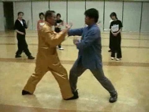 Wahnam Taijiquan