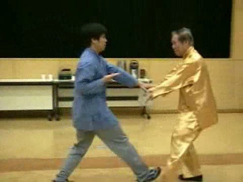 Wahnam Taijiquan