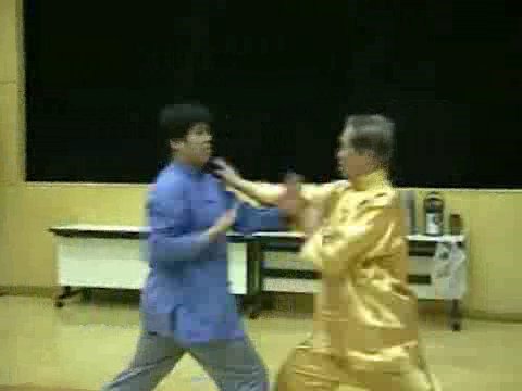 Wahnam Taijiquan