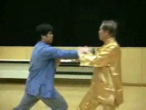 Wahnam Taijiquan