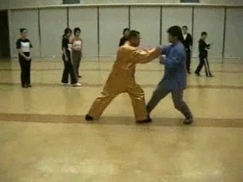 Wahnam Taijiquan