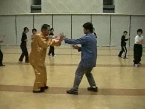 Wahnam Taijiquan