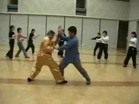 Wahnam Taijiquan