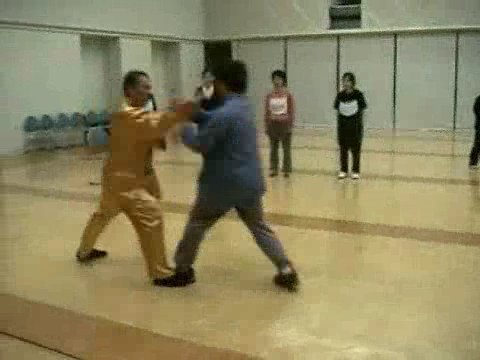 Wahnam Taijiquan