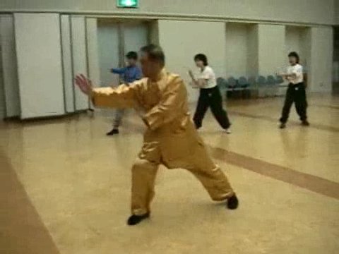 Wahnam Taijiquan