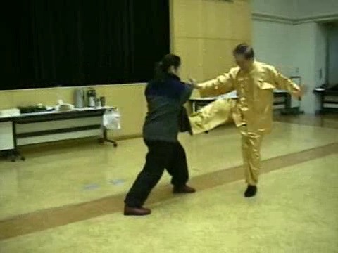 Wahnam Taijiquan