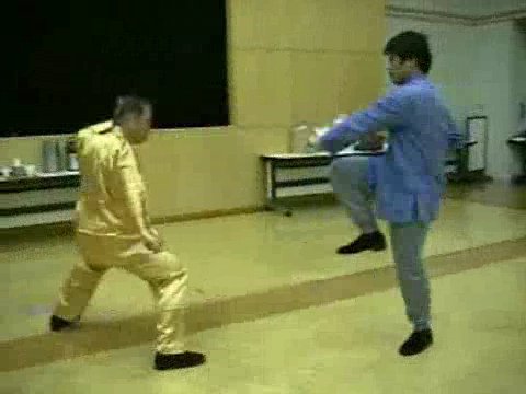 Wahnam Taijiquan