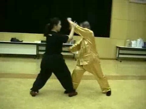 Wahnam Taijiquan