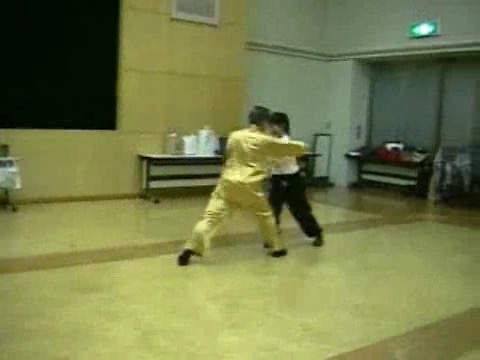 Wahnam Taijiquan