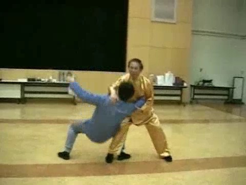 Wahnam Taijiquan