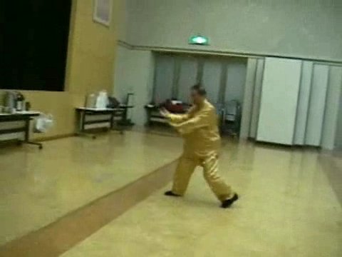 Wahnam Taijiquan