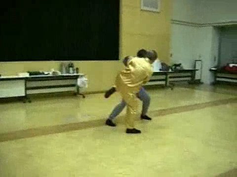 Wahnam Taijiquan