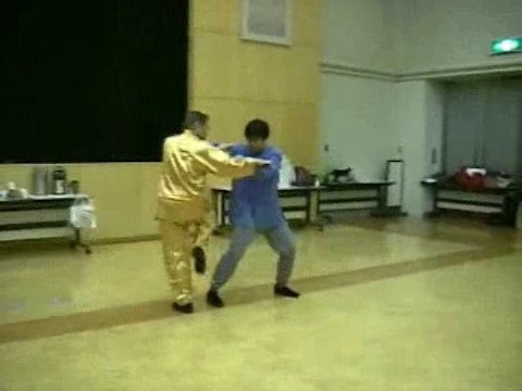 Wahnam Taijiquan