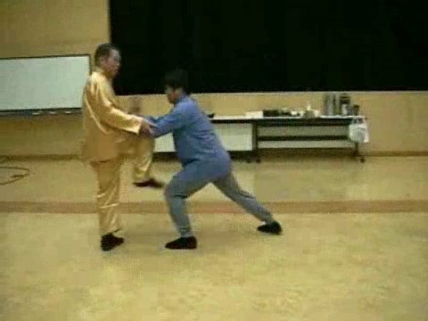 Wahnam Taijiquan