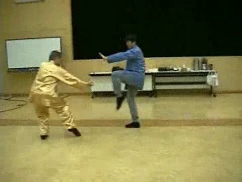 Wahnam Taijiquan