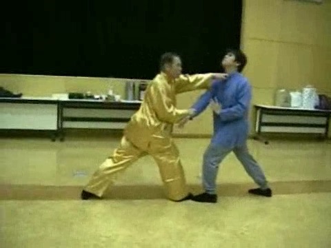 Wahnam Taijiquan