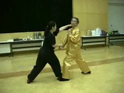 Wahnam Taijiquan