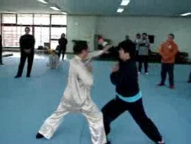 shaolin kung fu free sparring